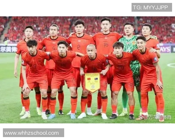 中国足球历史回顾与世界杯征程的艰辛与希望