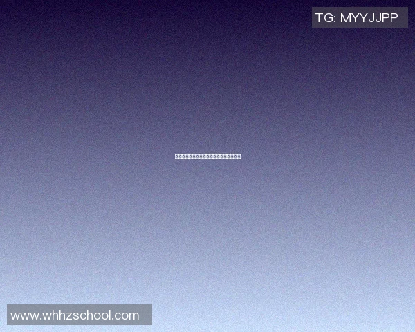 小红帽篮球明星的成长故事与梦想追逐之旅